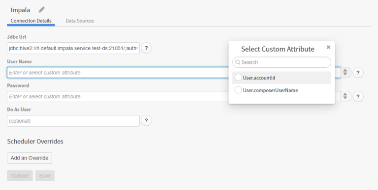 Select custom attributes you have defined in your environment to use in connections