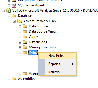 Create a new role in SSAS